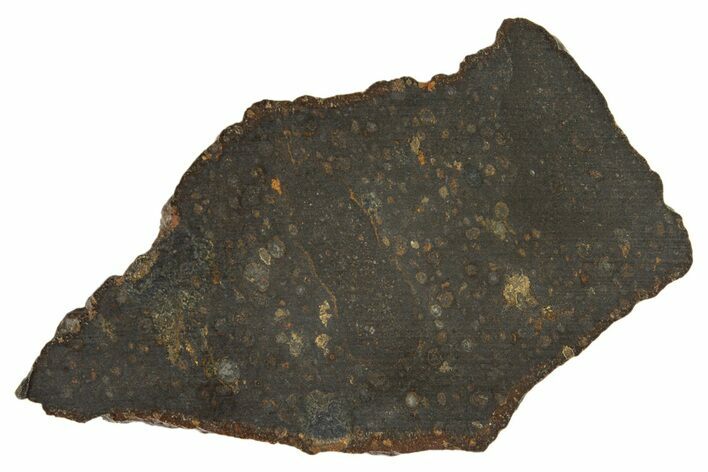 Carbonaceous Chondrite Meteorite ( g) Slice - NWA #308381